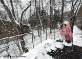 winter