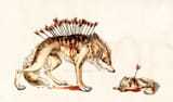 loss_by_lycanium_d7r3116-fullview