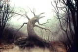 Tree_of_the_Dead
