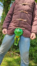 The frog