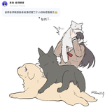 imgi_107_d0FlVjRFVm5kbHQyc242WnNhZU5nejJRN1UxbjJjQTdaYXl5R3J3bGw2cz0
