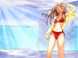Love Hina wp Main