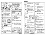 Fairy Tail Vol.21
