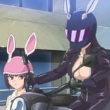 bunnies