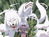 Double-Headed_Wolf