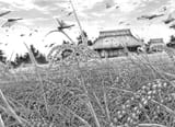 vagabond wheat field