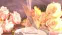 p5ilpjNqlx08ply7Dp96010412000yDK0E010_thumb.jpg