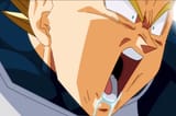 VegetaPuke