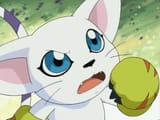 tailmon-notices-your-post