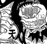 Kaido tears