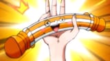 The dildo