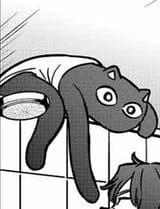 121223