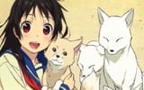 inari-konkon-koi-iroha