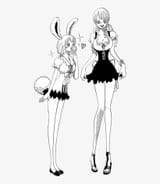 Bunny Nami admires Classic Nami