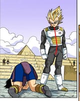 Anal Cabba scoliota Tacotardo and PACO