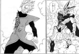 Copying the cell arc for the 10000th time