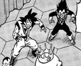Goku de notre dame