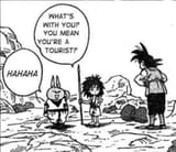 tourist spotted