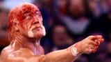 bloody-hogan-600x338