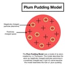 plum_pudding_model_3