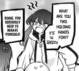 Rinne homophobic