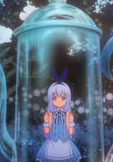 chino trapped