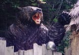 640px-Sankebetsu_BrownBear01
