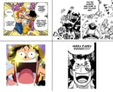 LUFFY HARALD PARALLEL