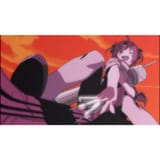 pdvd_029