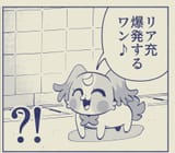 Gt1RRLNXIAAbbit