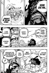 one_piece_1014_3