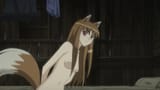 nakedfox