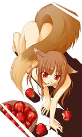 __holo_spice_and_wolf_drawn_by_ndemotte__affb1f15a1b70a3375f51b9dc09de60d