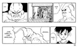 videl smells