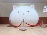 minion_usagi_-1938804534488506614-img1