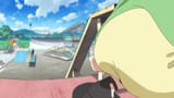 mpv-shot0013 (1) (2)