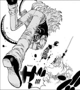 one_piece_v102_ch1029_p012-edit
