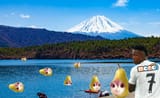 peartain