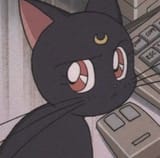 luna pissed