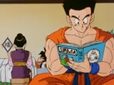 Yamcha reading