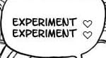 experiment experiment