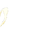 1741151551001837