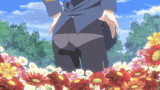 ASS
