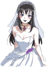 HomuFlocko專案