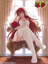 __rias_gremory_high_school_dxd__0462195a5c43ae35ee77254af53cabda