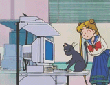 Usagi Luna computer