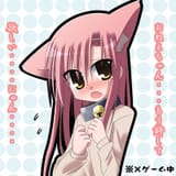 Hina cat