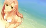 Hinagiku beach wallpaper - Tony Taka