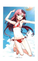 HinaOthersGraphics1