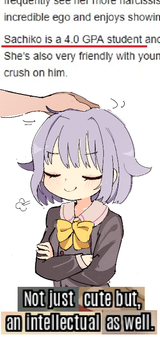 sachiko cute intellectual